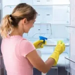 Cara Membersihkan Kulkas Polytron