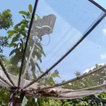 Frekuensi Trans 7 K Vision