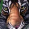 Doa Berubah Menjadi Harimau