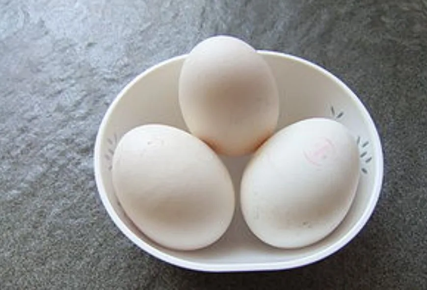 Cara Membuat pagar gaib dari telur angsa