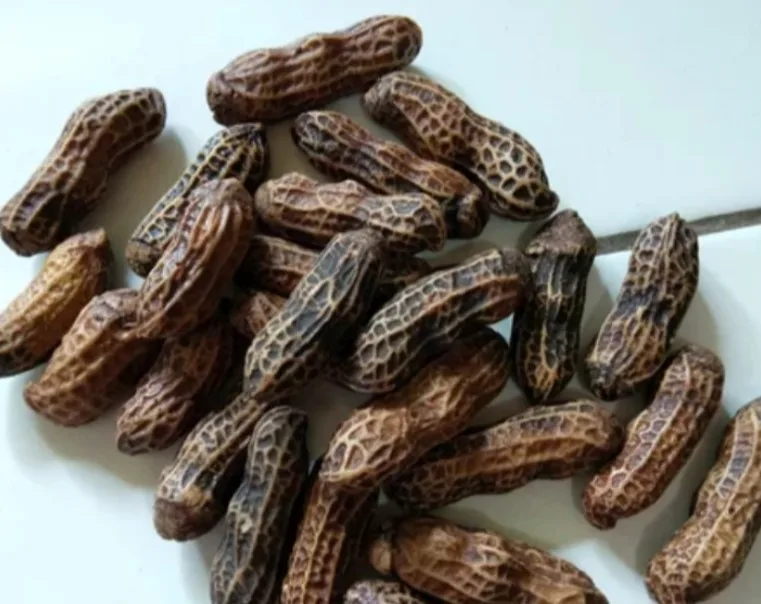 Khasiat dan Manfaat Mustika Kacang Tanah