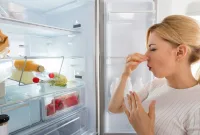 Cara Mengatasi Freezer Bau Tak Sedap