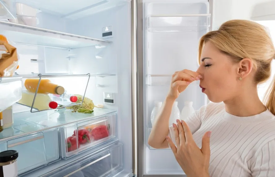 Cara Mengatasi Freezer Bau Tak Sedap