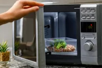 Cara Kerja Microwave