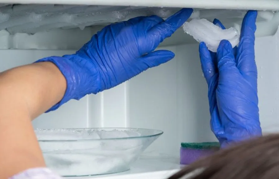 Cara Membersihkan Freezer Kulkas