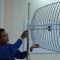 Pengertian Antena Grid