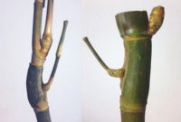 Mitos Khasiat Ghaib Bambu Jalu