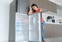 Penyebab Kulkas Dua Pintu Tidak Dingin